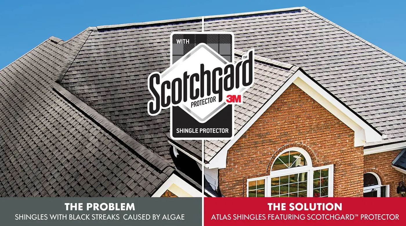 topp home scotchguard protection - My Topp Home
