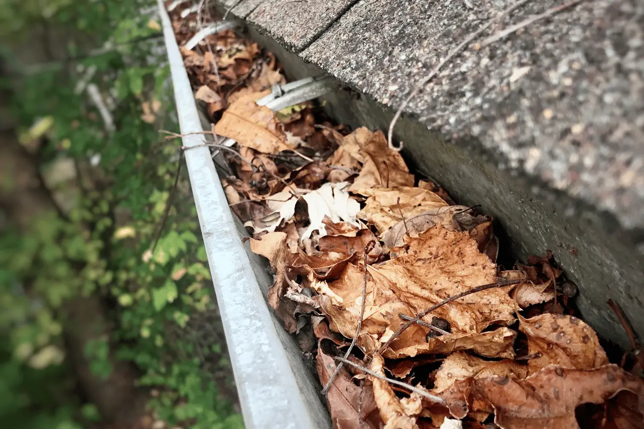 Central PA gutters that are full of leaves and need to be cleaned - My Topp Home